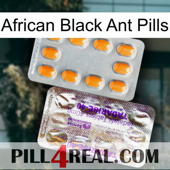 African Black Ant Pills new12.jpg